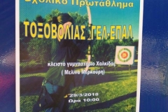 ermis_2018-04-01_0003