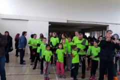 ermis_2018-02-11_0977