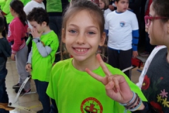 ermis_2018-02-11_0996