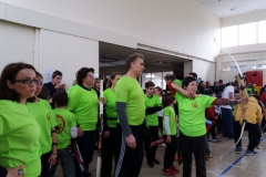 ermis_2018-02-11_1013