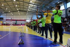 ermis_2016-12-11_0751