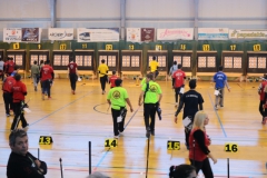 ermis_2017-02-18_0736