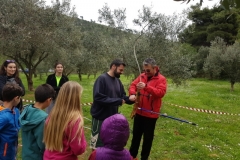 ermis_2018-03-25_0006