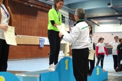 ermis_2018-12-01_101