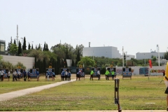 ermis_2018-05-26_0022