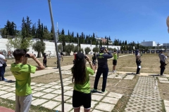 ermis_panel_2024_full_7